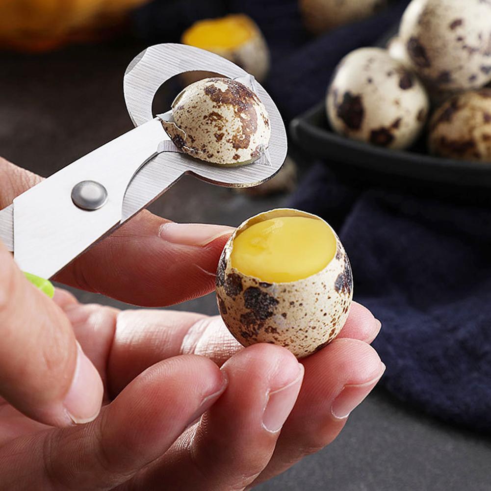 Egg Separator Tool - Голубь, перепел, открытая трещина, маленькие ножницы