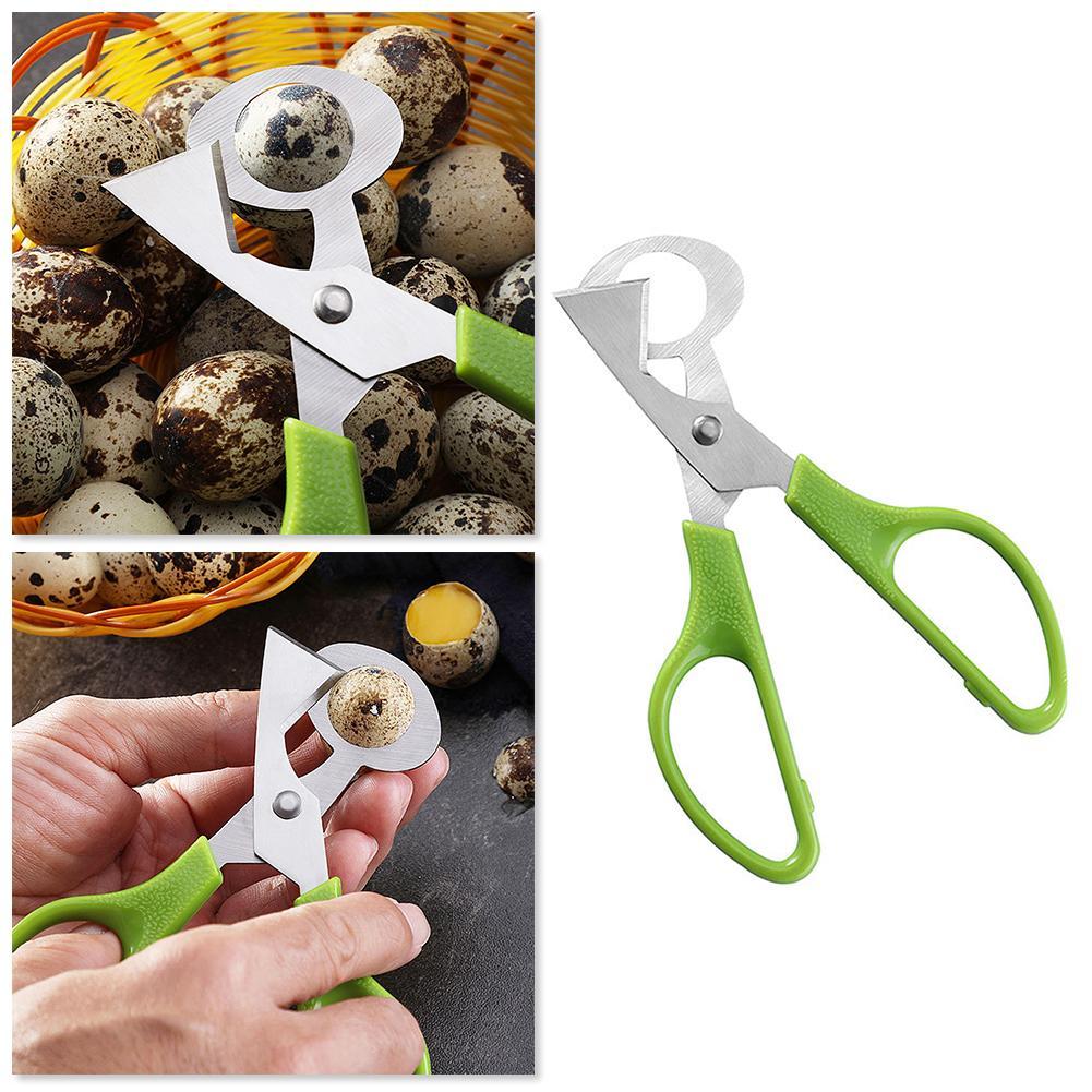 Голубь, перепел, открытая трещ – обзор и цена Egg Separator Tool
